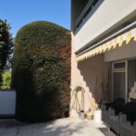 haus solothurn