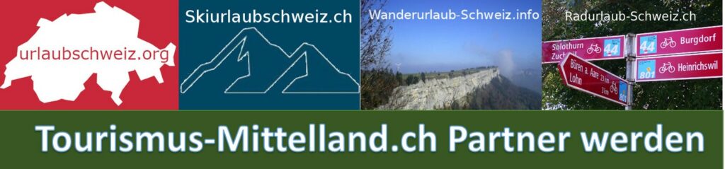 immobilie schewizer alpen