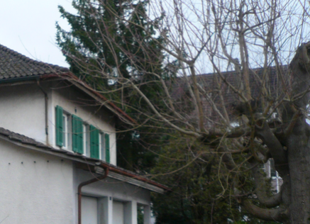 haus langenthal kaufen