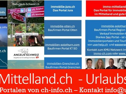 bestes immobilienportal schweiz?