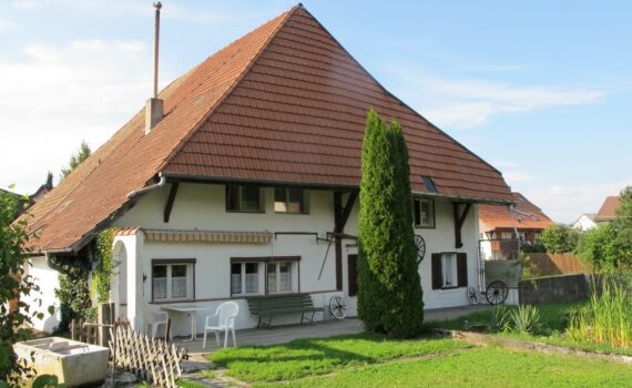 mfh kaufen mittelland