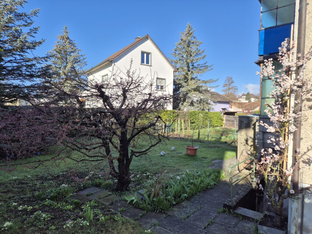 garten eg wohnung mieten