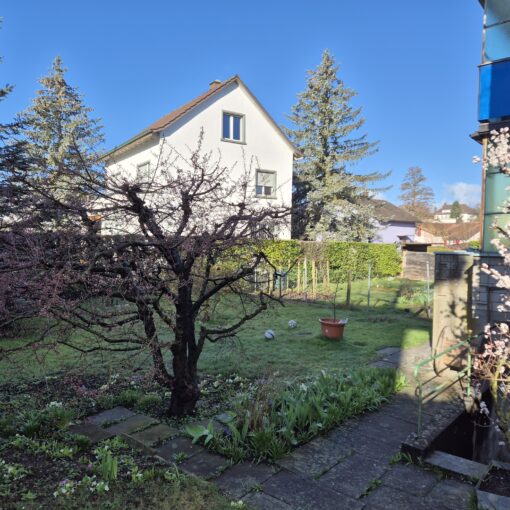 wohnung mit Garten