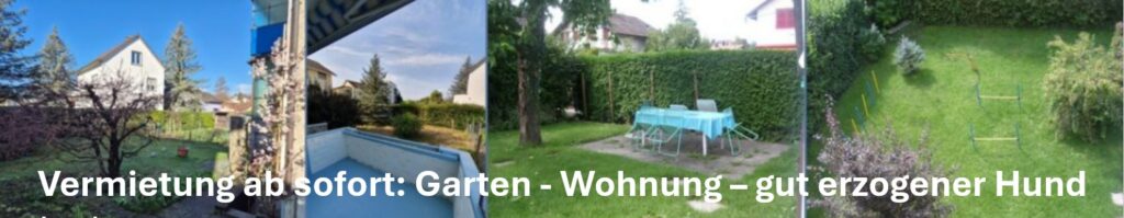 gartenwohnung solothurn mieten