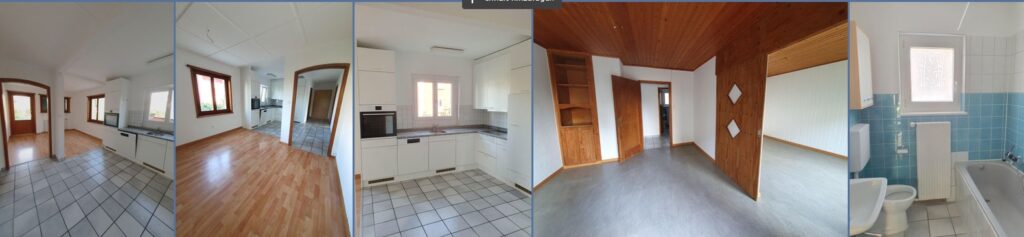 wohnung mieten mit Hund