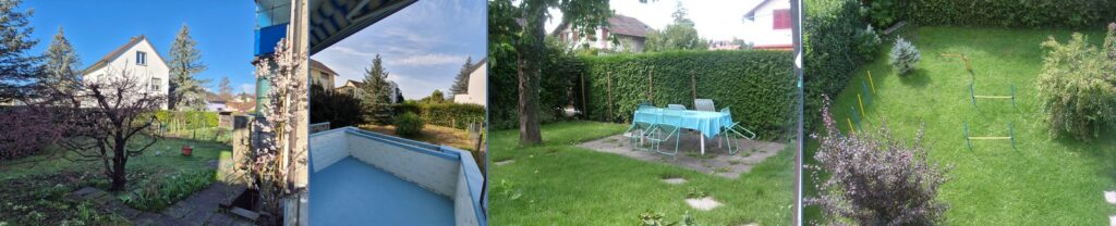 wohnung mieten mit Hund Garten